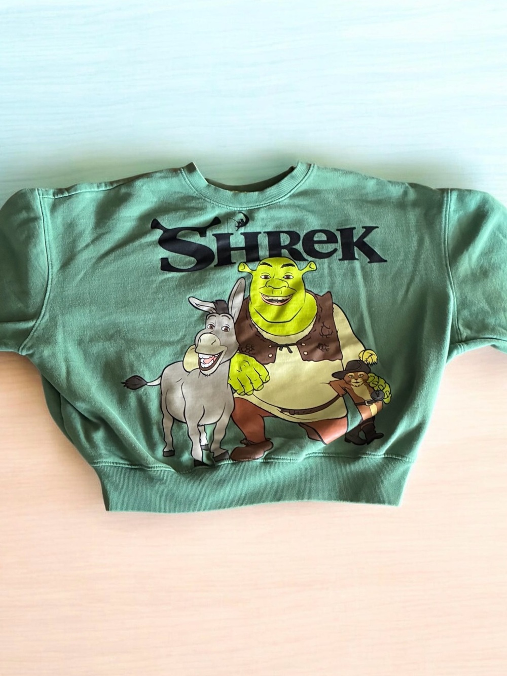 DreamWorks Shrek Crewneck Sweatshirt Green Size S Official Licensed